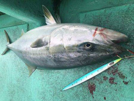 広進丸 釣果