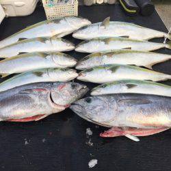 幸風（さちかぜ） 釣果