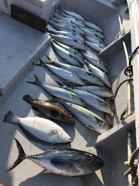 寿裕 （YOSHIHIRO） 釣果