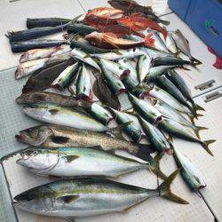ふじしめ丸 釣果