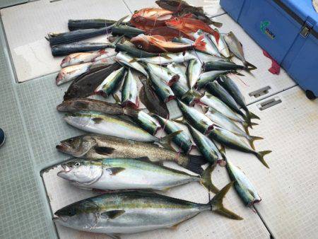 ふじしめ丸 釣果