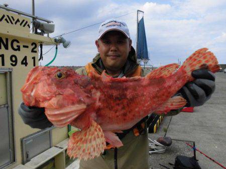 大進丸（新潟） 釣果