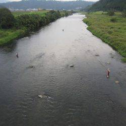 狩野川(狩野川漁業協同組合) 釣果