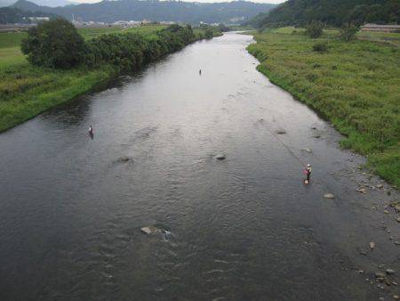 狩野川(狩野川漁業協同組合) 釣果