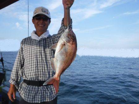 遊漁船 幸友丸 釣果