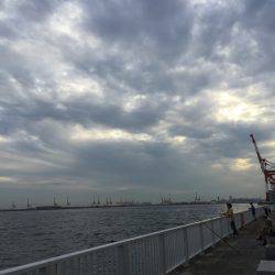 初チヌゲット！