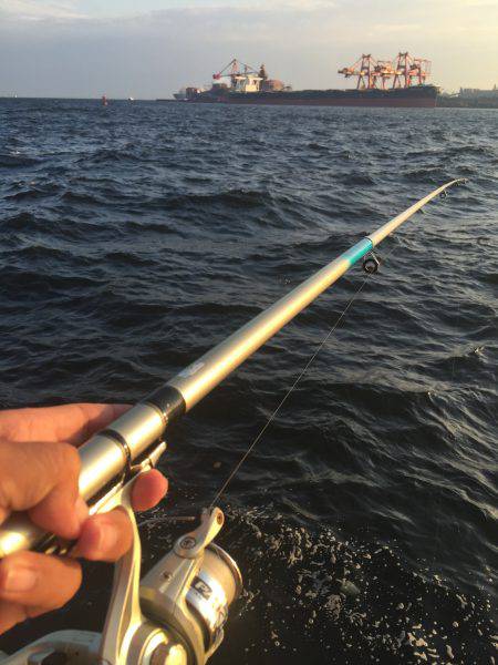 サヨリ狙いも…