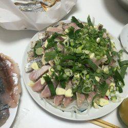 1日頑張るとめちゃ釣れた