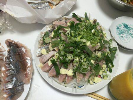 1日頑張るとめちゃ釣れた