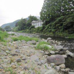 狩野川(狩野川漁業協同組合) 釣果