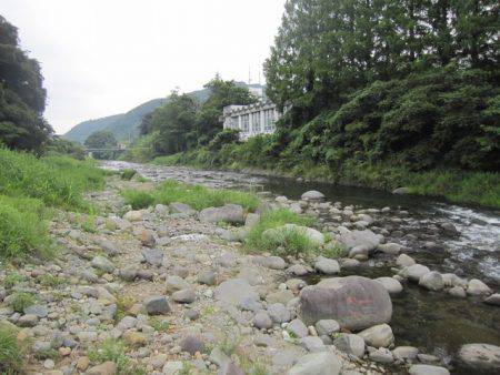 狩野川(狩野川漁業協同組合) 釣果