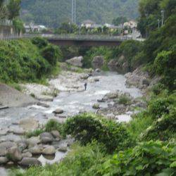 狩野川(狩野川漁業協同組合) 釣果