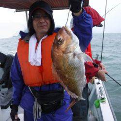 遊漁船 幸友丸 釣果