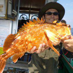 真祐丸 (しんゆうまる) 釣果