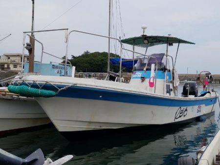 Magic(マジック) 釣果