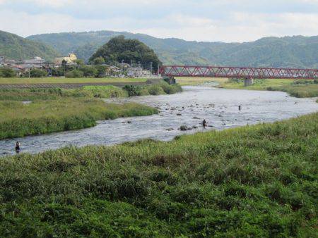 狩野川（狩野川漁業協同組合） 釣果