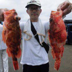 大進丸(新潟) 釣果