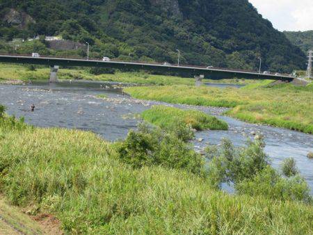 狩野川(狩野川漁業協同組合) 釣果