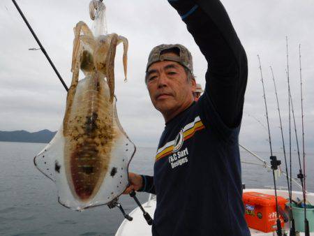 ＢｌｕｅＮｏｔｅ　Ｆｉｓｈｉｎｇ　Ｔａｘｉ…