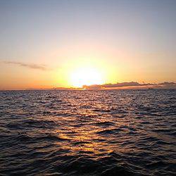 深川 吉野屋 釣果