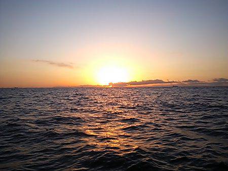 深川 吉野屋 釣果