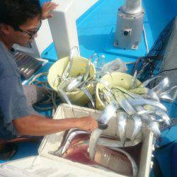 深川 吉野屋 釣果