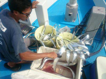 深川 吉野屋 釣果