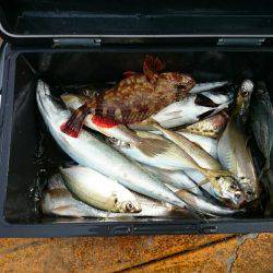 深川 吉野屋 釣果