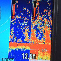 深川　吉野屋 釣果