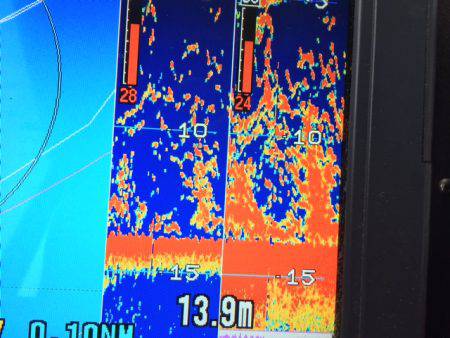 深川　吉野屋 釣果