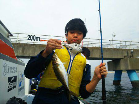 深川　吉野屋 釣果