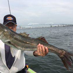 深川 吉野屋 釣果