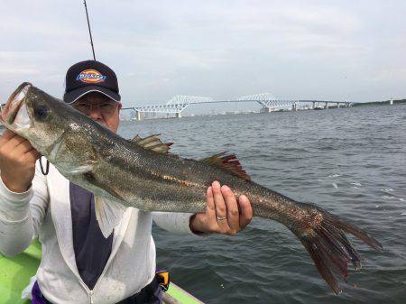 深川 吉野屋 釣果