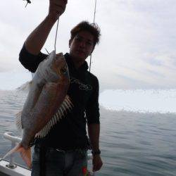 遊漁船 幸友丸 釣果