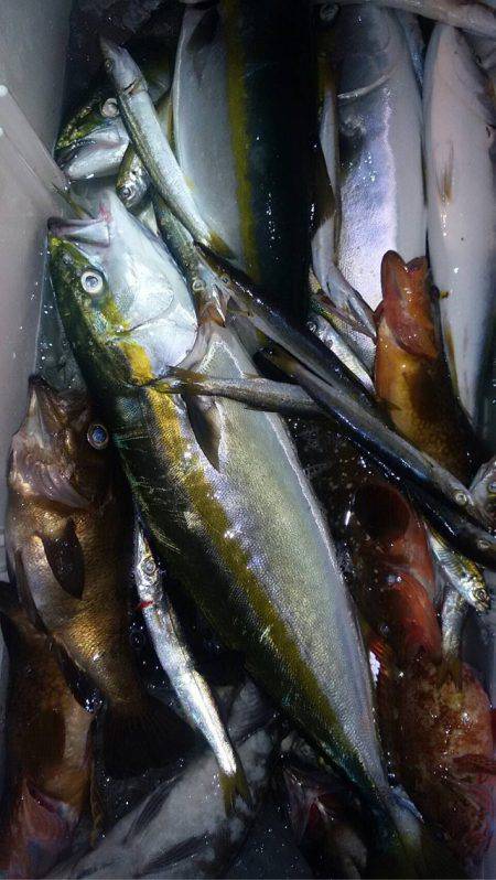 宝昌丸 釣果