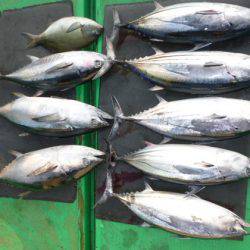 真祐丸 （しんゆうまる） 釣果