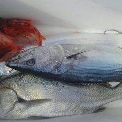 遊漁船 新鋭丸 釣果