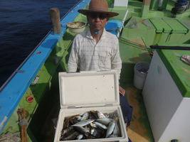 久里浜黒川本家 釣果