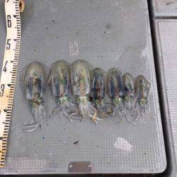 遊漁船高橋 釣果