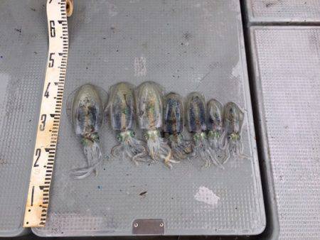 遊漁船高橋 釣果