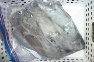 松福丸 釣果
