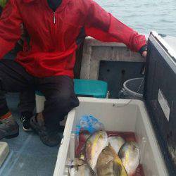 第五慶門丸 釣果