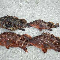 TOPGUN名古屋 釣果