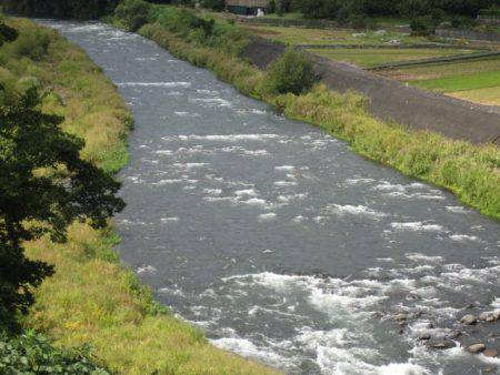 狩野川(狩野川漁業協同組合) 釣果