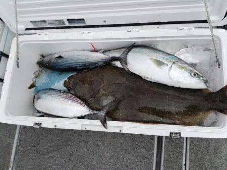 第二大福丸 釣果