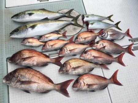 ふじしめ丸 釣果