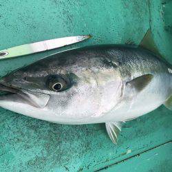 広進丸 釣果