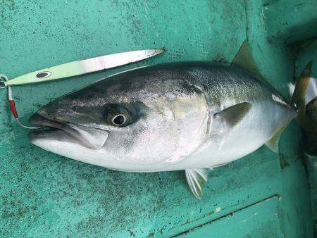 広進丸 釣果