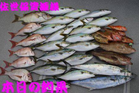 幸和丸 釣果