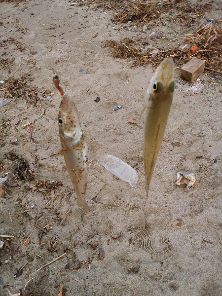 キス不調は続く・・・